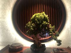 -隐厨·中国菜馆(三里屯T+MALL店)