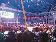 -西安秦岭野生动物园