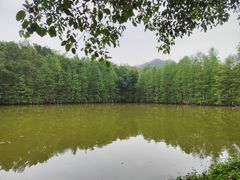 -番禺大夫山森林公园