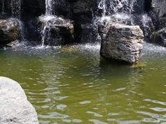 -茯茶镇