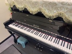 -知音艺术教育培训·钢琴培训·音乐培训(河西金鹰世界校区)