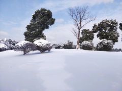 -漕湖湿地公园