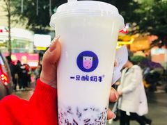 -一只酸奶牛(八一路店)
