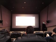 -山文星辉影城(济南和谐广场店)