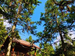 -大罗山风景区