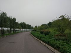 -洨河生态公园