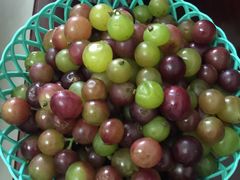 -马陆小张葡萄园农家乐