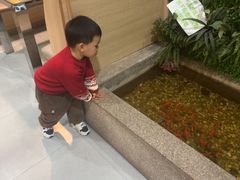 -松坂屋日料自助(长城路店)