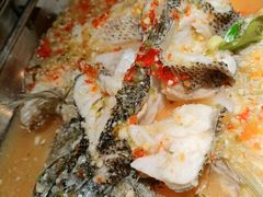 招牌柠檬鱼-佬肥猫(国华广场店)