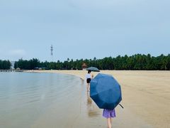 -东郊椰林