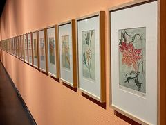 -江苏省美术馆(长江路新馆)