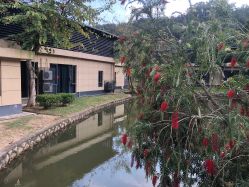 -爱帝宫月子中心(罗湖别墅院)
