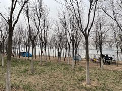 -天津东丽湖风景区