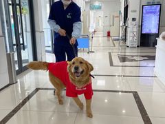 -派美特宠物医院·核磁CT·骨科肿瘤·疑难转诊(沈农禾丰店)