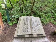 -茅兰沟国家森林公园