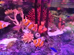 -沈阳海洋探索中心