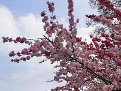 -蜀冈西峰生态公园