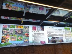 -野菌皇海景野生菌火锅(滨海大道店)
