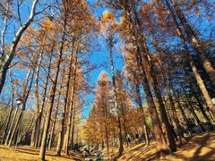 -白水寺森林公园