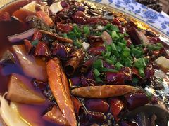 -院8里·少城记忆老川菜(宽窄巷子店)