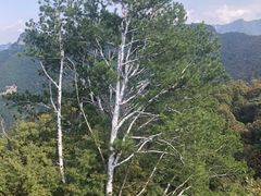 -少华山国家森林公园
