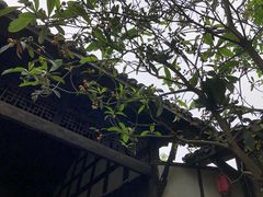 -涞滩古镇