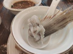 -正能量脆肉鲩火锅