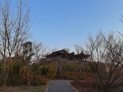 -广富林郊野公园