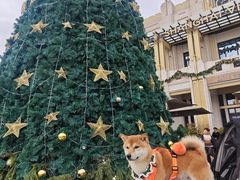 -比斯特上海购物村精品奥特莱斯