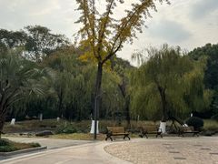 -苏州河梦清园环保主题公园