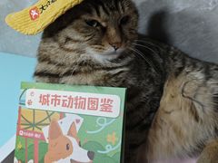 -瑞虹新天地月亮湾