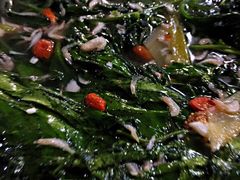 -那琴半岛地质海洋公园