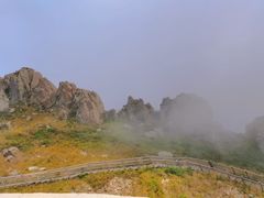 -白草畔自然风景区