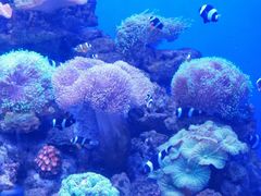 -多彩贵州城极地海洋世界