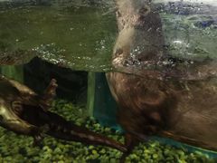 -成都浩海立方海洋公园