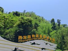 -西双版纳原始森林公园