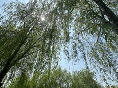 -广富林郊野公园
