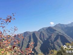-秦岭风景区