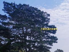 -深圳湾公园(南山区)
