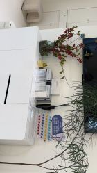 -安那般那皮肤年轻化ANAPANA