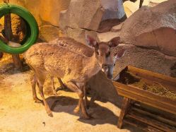 -酷嗒动物文化乐园(cutezoo西溪乐天城店)