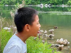 -白河湾生态旅游一条川