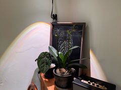 -本無咖啡·BeanWood Coffee