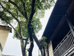 -绍兴鲁迅故里·沈园景区