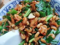 韭菜炒河虾-张氏父子常德肠子馆(红星总店)
