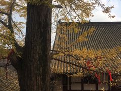 -金堂县云顶石城风景区