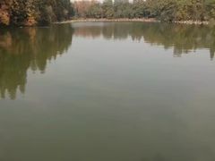 -东湖落雁景区