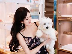 -翊宠yipet猫狗购宠庄园犬舍•猫舍