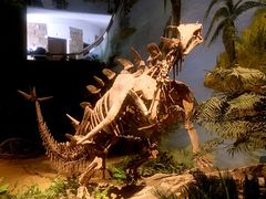 -自贡恐龙博物馆