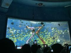 -海合安武汉极地海洋公园